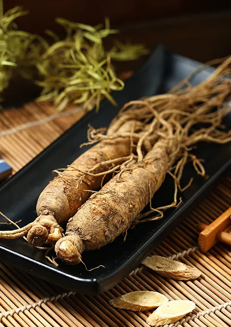 Le ginseng